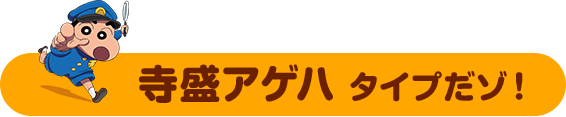 そんなあなたは　寺盛アゲハ タイプだゾ！